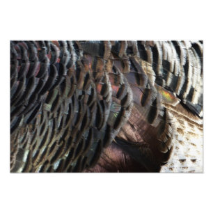 Impression Photo Plumes de Dindon Sauvage I Design Abstrait de la N