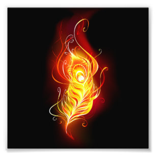 Impression Photo Plumes de paquetage de feu