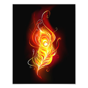 Impression Photo Plumes de paquetage de feu