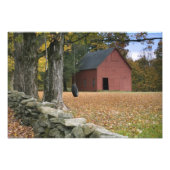 Impression Photo Pneus le long d'une route dans le sud du Vermont, (Devant)