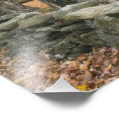 Impression Photo Pneus le long d'une route dans le sud du Vermont, (Coin)