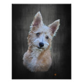 Impression Photo Podengo Pequeno (Devant)