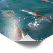 Impression Photo Point Dana (Coin)