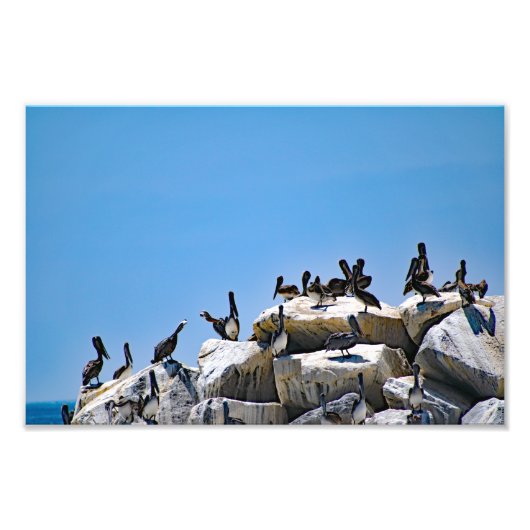 Impression Photo Point Dana (Devant)