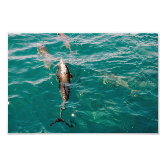 Impression Photo Point Dana (Devant)
