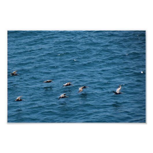 Impression Photo Point Dume (Devant)