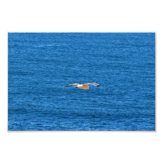 Impression Photo Point Dume (Devant)