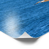 Impression Photo Point Dume (Coin)