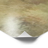 Impression Photo Pointeur court allemand (Coin)