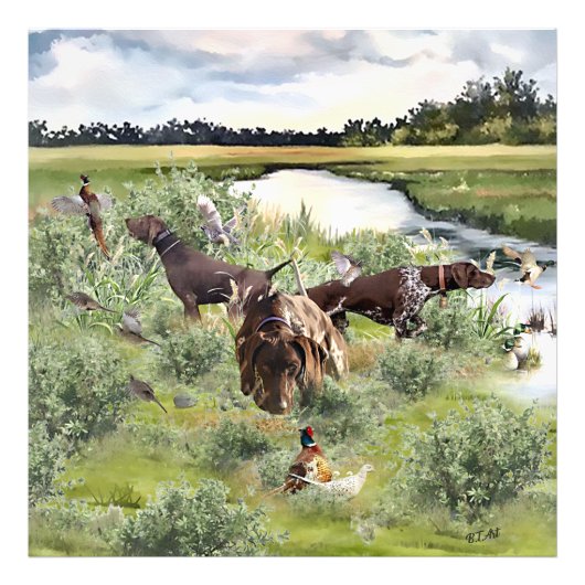 Impression Photo Pointeur court allemand (Devant)