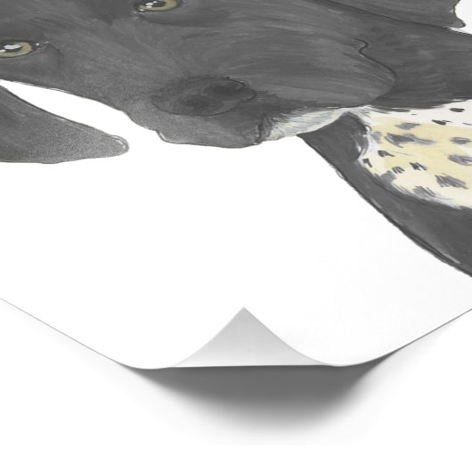 Impression Photo Pointeur noir et blanc allemand (Coin)