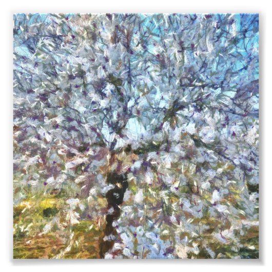 Impression Photo Pointillisme en fleurs d'amandes du printemps (Devant)