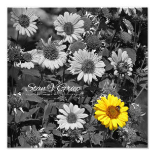Impression Photo Poireaux africains Couleur sélective Mur d'art Imp