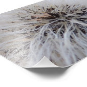 Impression Photo Pois (Coin)