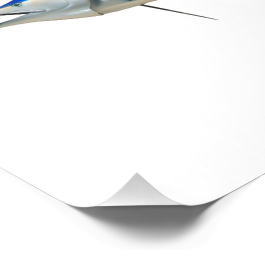 Impression Photo Poisson Blue Marlin (Coin)