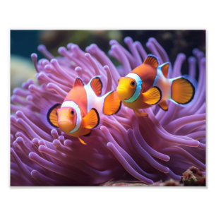 Impression photo Poisson Clown