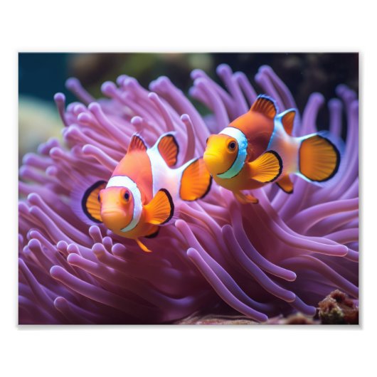 Impression photo Poisson Clown (Devant)