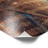 Impression Photo Poisson frais (Coin)