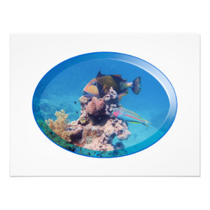 Impression Photo Poisson-verge à la barrière de corail - Design pho