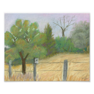 Impression Photo Poissons et faune