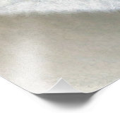 Impression Photo Polar Bear (Coin)