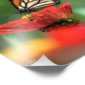 Impression Photo Pollinisation des papillons monarques (Coin)
