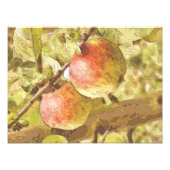 IMPRESSION PHOTO POMMES (Devant)