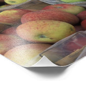 Impression Photo Pommes Macintosh d'État de New York dans des panie (Coin)