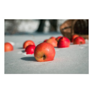 Impression Photo Pommes sur la neige