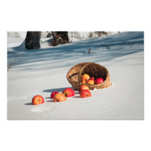 Impression Photo Pommes sur la neige