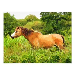 IMPRESSION PHOTO PONEY GALLOIS