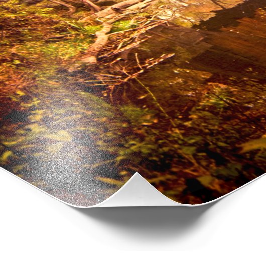 Impression Photo Pont couvert (Coin)