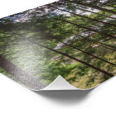 Impression Photo Pont couvert du parc d'état de Mohican, Ohio. (Coin)