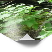 Impression Photo Pont de Muir Woods I (Coin)
