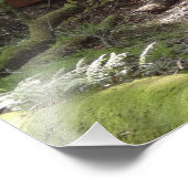 Impression Photo Pont de Muir Woods II (Coin)