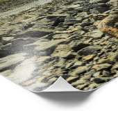 Impression Photo Pont Forth (Coin)