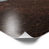 Impression Photo Pont Golden Gate (Coin)