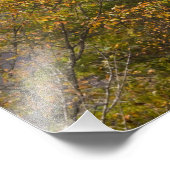 Impression Photo Pont New River Gorge Bridge, Nouvelle Gorge River (Coin)