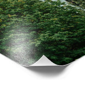 Impression Photo Pont Saint-Jean (Coin)