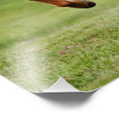 Impression Photo Pony islandais à un Tölt amusant pour les amateurs (Coin)