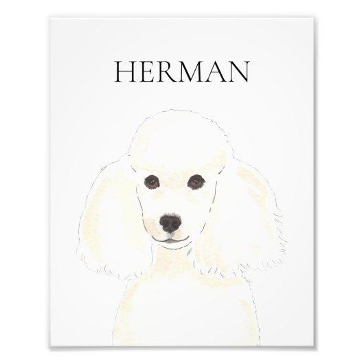 Impression Photo Poodle blanc personnalisé (Devant)