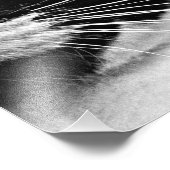 Impression Photo Pop Art Lucy Closeup (Coin)