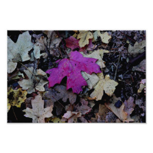 Impression Photo pop de feuillage rose