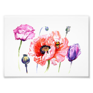 Impression Photo Poppies Fleurs de champs de pavot, Aquarelle flora