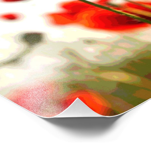 Impression Photo Poppies rouges (Coin)