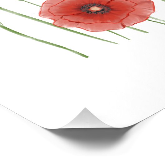 Impression Photo Poppies rouges du marché aux fleurs et coccinelles (Coin)