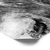 Impression Photo Portrait africain du Cap Buffalo (Coin)