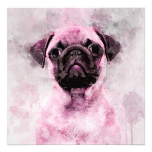 Impression Photo Portrait aquarelle de chien carlin rose 02