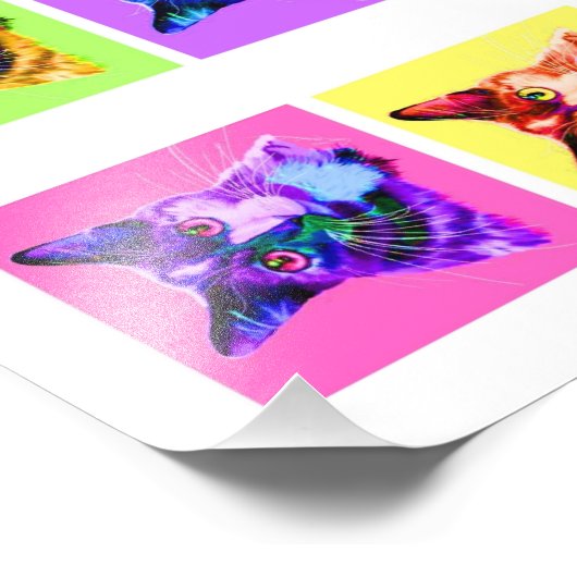 Impression photo Portrait arc-en-ciel/chat blanc 8 (Coin)