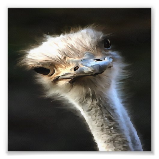 Impression Photo Portrait Artistique Ostrich Avec Expression Goofy (Devant)